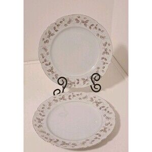 Vintage Mikasa Caryle Fine China Pattern 9290 Set Of Two Dinner Plates